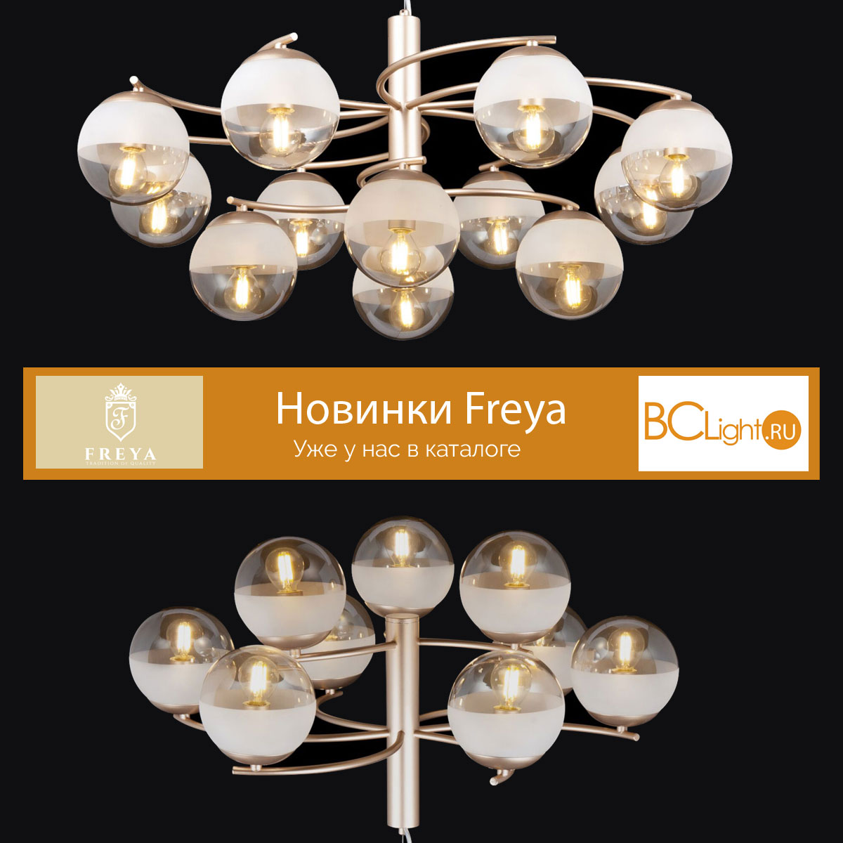 Новинки Freya 2019 Новинки Freya 2019