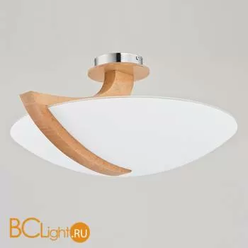 Потолочный светильник Alfa Calmi 90058