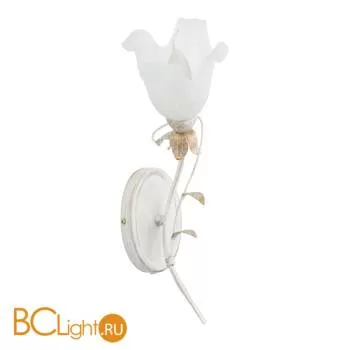 Бра Alfa Estera New 17070