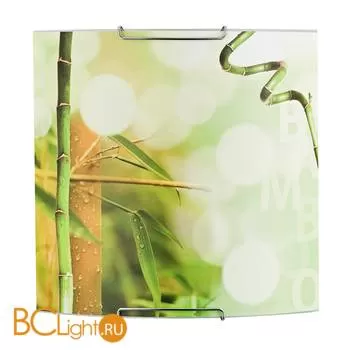 Настенно-потолочный светильник Alfa Green 91388