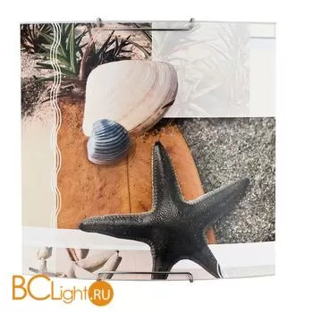 Настенно-потолочный светильник Alfa Sheel 91387