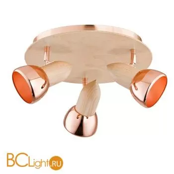 Потолочный светильник Alfa Spark Miedz 24426