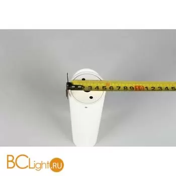 Потолочный светильник Aployt Aksel APL.006.02.02 - Фото 4