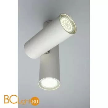 Потолочный светильник Aployt Aksel APL.006.02.02 - Фото 3