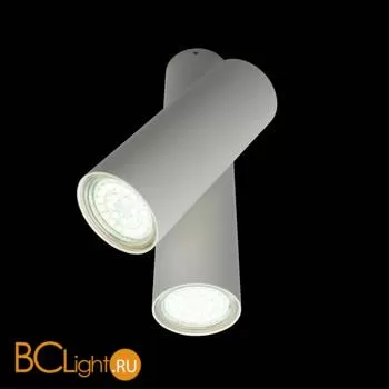 Потолочный светильник Aployt Aksel APL.006.02.02