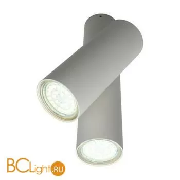 Потолочный светильник Aployt Aksel APL.006.02.02 - Фото 0