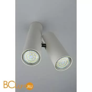 Потолочный светильник Aployt Aksel APL.006.02.02 - Фото 2