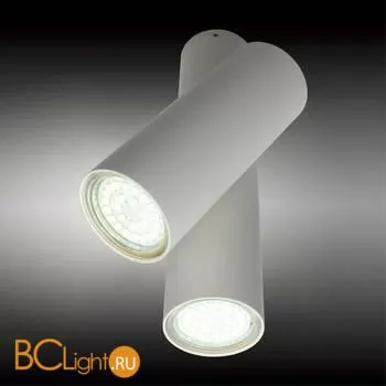 Потолочный светильник Aployt Aksel APL.006.02.02 - Фото 1