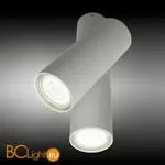 Потолочный светильник Aployt Aksel APL.006.02.02 - Фото 1