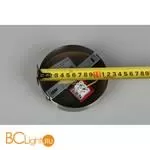 Люстра Aployt Ameli APL.904.17.08 - Фото 19