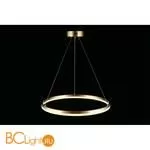 Люстра Aployt Armel APL.049.13.40 - Фото 8