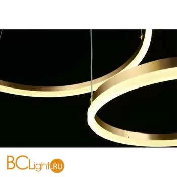 Люстра Aployt Armel APL.049.03.60 - Фото 9