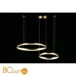 Люстра Aployt Armel APL.049.03.60 - Фото 6