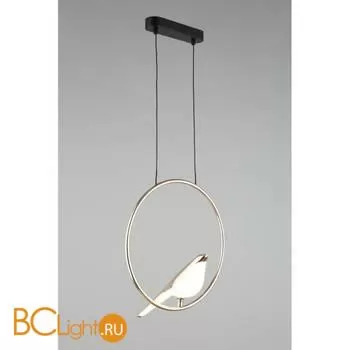 Подвесной светильник Aployt Astor APL.822.06.10 - Фото 4