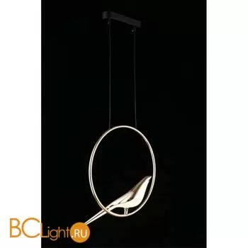 Подвесной светильник Aployt Astor APL.822.06.10 - Фото 7