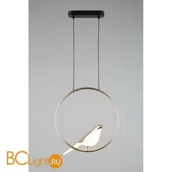 Подвесной светильник Aployt Astor APL.822.06.10