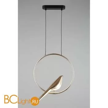 Подвесной светильник Aployt Astor APL.822.06.10 - Фото 3