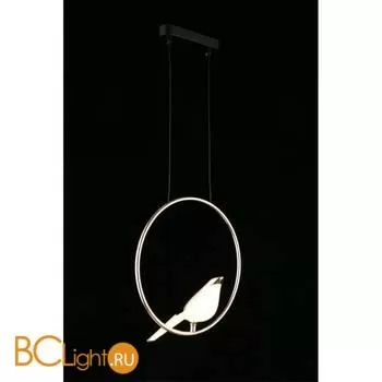 Подвесной светильник Aployt Astor APL.822.06.10 - Фото 10