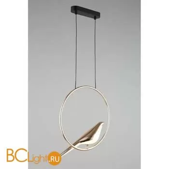 Подвесной светильник Aployt Astor APL.822.06.10 - Фото 5