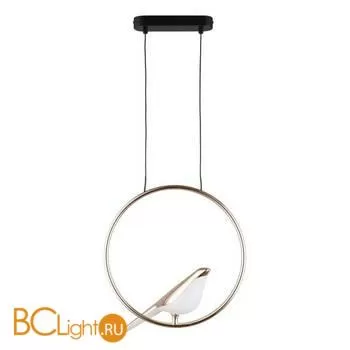 Подвесной светильник Aployt Astor APL.822.06.10 - Фото 0