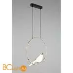 Подвесной светильник Aployt Astor APL.822.06.10 - Фото 4