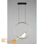 Подвесной светильник Aployt Astor APL.822.06.10