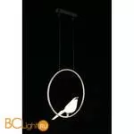 Подвесной светильник Aployt Astor APL.822.06.10 - Фото 10