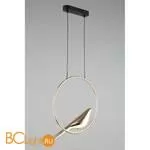 Подвесной светильник Aployt Astor APL.822.06.10 - Фото 5