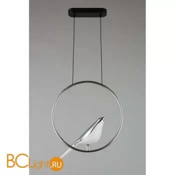 Подвесной светильник Aployt Astor APL.822.16.10 - Фото 1