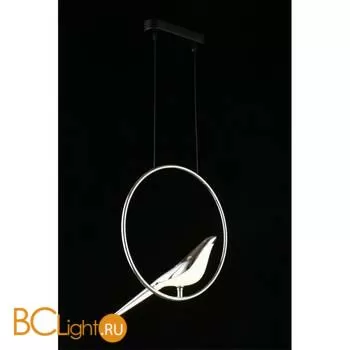 Подвесной светильник Aployt Astor APL.822.16.10 - Фото 9