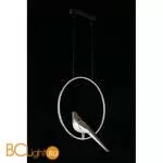 Подвесной светильник Aployt Astor APL.822.16.10 - Фото 12