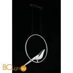 Подвесной светильник Aployt Astor APL.822.16.10 - Фото 10