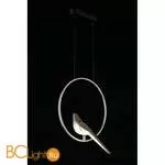 Подвесной светильник Aployt Astor APL.822.16.10 - Фото 11