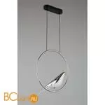 Подвесной светильник Aployt Astor APL.822.16.10 - Фото 5