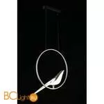 Подвесной светильник Aployt Astor APL.822.16.10 - Фото 9