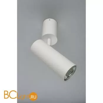 Спот Aployt Berenis APL.007.02.01 - Фото 2