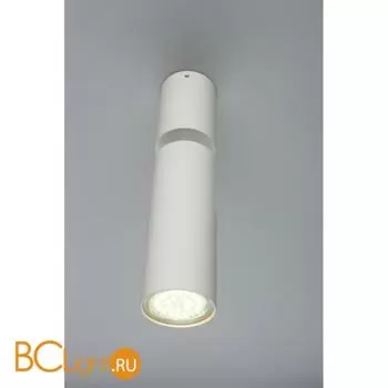 Спот Aployt Berenis APL.007.02.01 - Фото 1