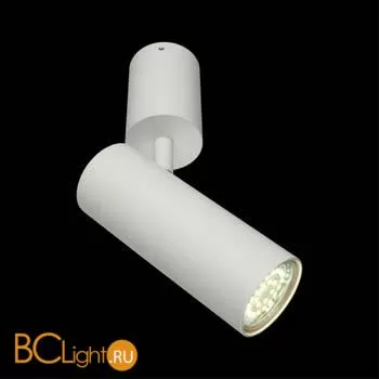 Спот Aployt Berenis APL.007.02.01 - Фото 6