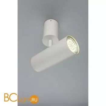 Спот Aployt Berenis APL.007.02.01 - Фото 3