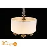 Подвесной светильник Aployt Berze APL.721.06.05 - Фото 13