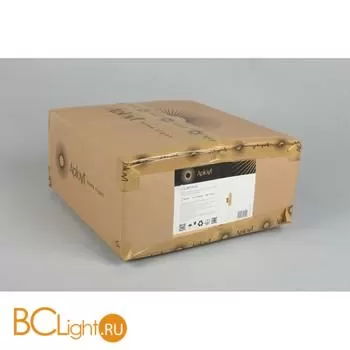 Настенный светильник Aployt Brynia APL.307.21.02 - Фото 12