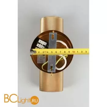 Настенный светильник Aployt Brynia APL.307.21.02 - Фото 11