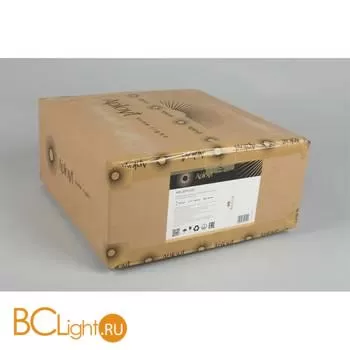 Настенный светильник Aployt Brynia APL.307.11.02 - Фото 11