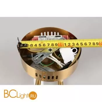 Бра Aployt Carla APL.010.01.16 - Фото 8