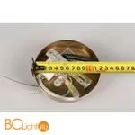 Люстра Aployt Carla APL.010.03.80 - Фото 16