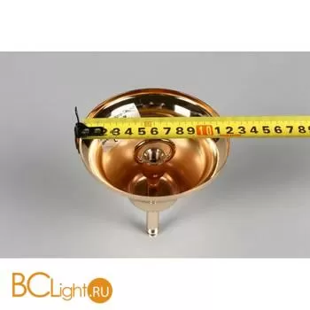 Люстра Aployt Daniele APL.701.03.08 - Фото 16