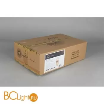 Бра Aployt Danil APL.638.11.02 - Фото 9