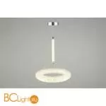 Подвесной светильник Aployt Danuta APL.035.16.25 - Фото 3