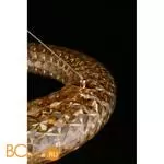 Подвесной светильник Aployt Danuta APL.035.06.25 - Фото 13