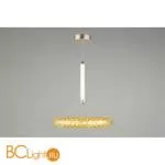 Подвесной светильник Aployt Danuta APL.035.06.25 - Фото 2